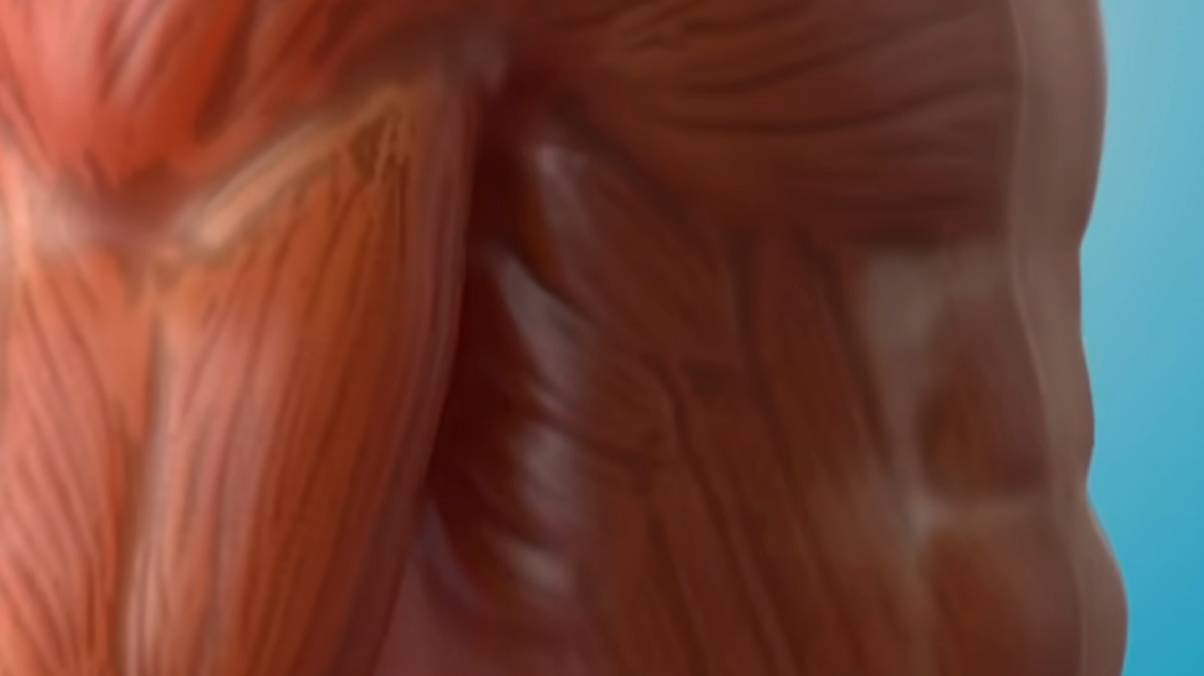 This Astonishing Fat Visualization Is Shocking People Into Transforming Their Lives Forever