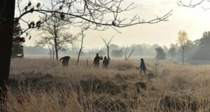 Uncovering Secrets: Students Stumble Upon an 1,800-Year-Old Roman Fortress Hidden Beneath Dutch Soil