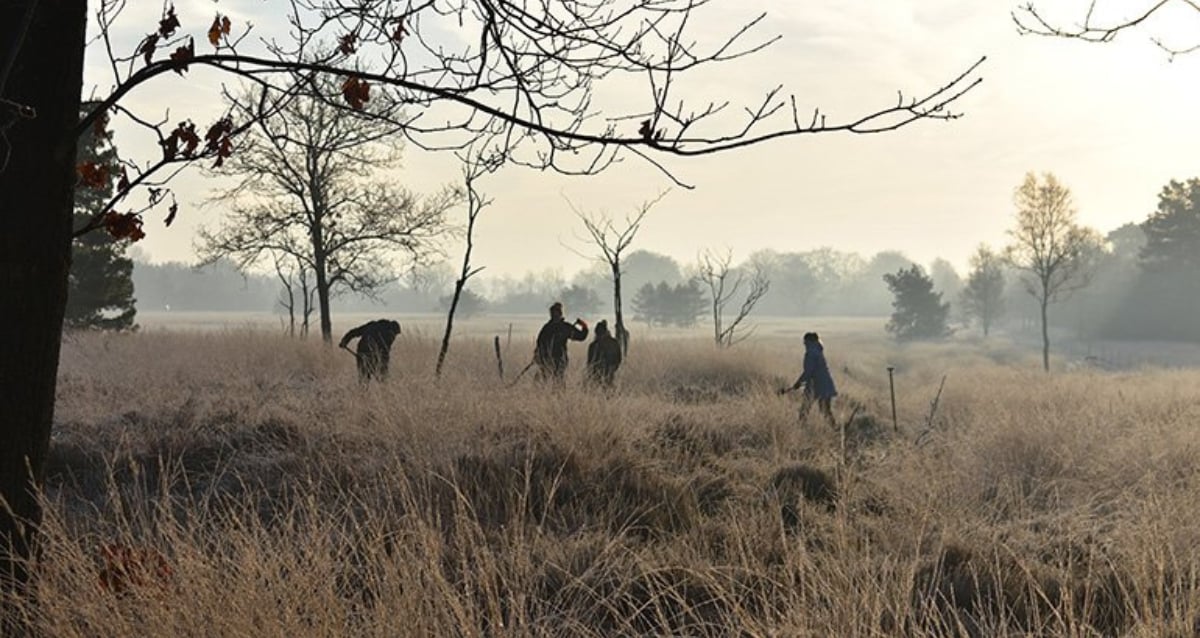 Uncovering Secrets: Students Stumble Upon an 1,800-Year-Old Roman Fortress Hidden Beneath Dutch Soil