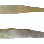 Unveiled After Centuries: The Mysterious Ancient Maya Tattooing Tools Found Deep Inside a Belize Cave