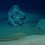 What Secrets Lurk Beneath? Scientists’ Haunting Find at the Bottom of the Red Sea Revealed