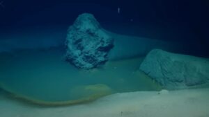 What Secrets Lurk Beneath? Scientists’ Haunting Find at the Bottom of the Red Sea Revealed