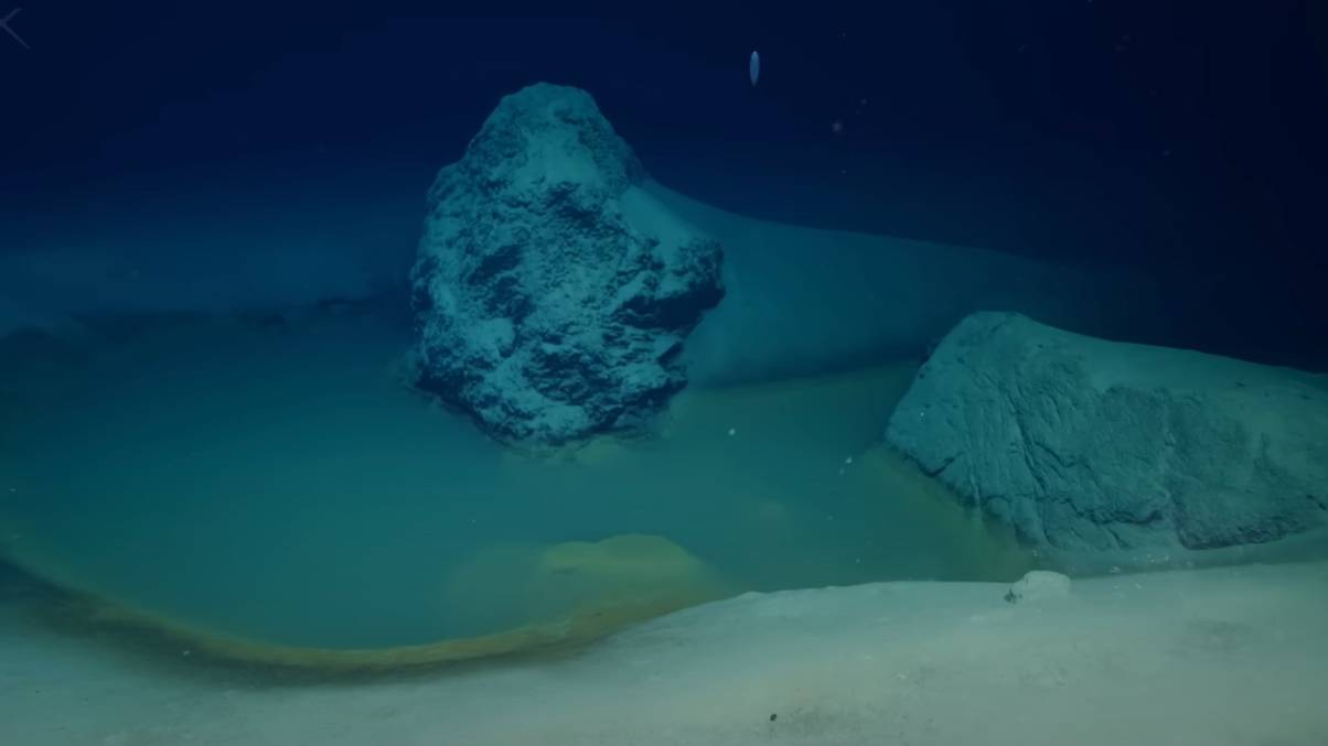 What Secrets Lurk Beneath? Scientists’ Haunting Find at the Bottom of the Red Sea Revealed
