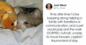 Why Your Pet Is More Than Family—A Therapist Reveals the Surprising Emotional Bond You Didn’t Know You Had
