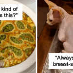 You Won't Believe These 48 Animals That Look Exactly Like Your Favorite Foods!