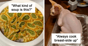 You Won't Believe These 48 Animals That Look Exactly Like Your Favorite Foods!