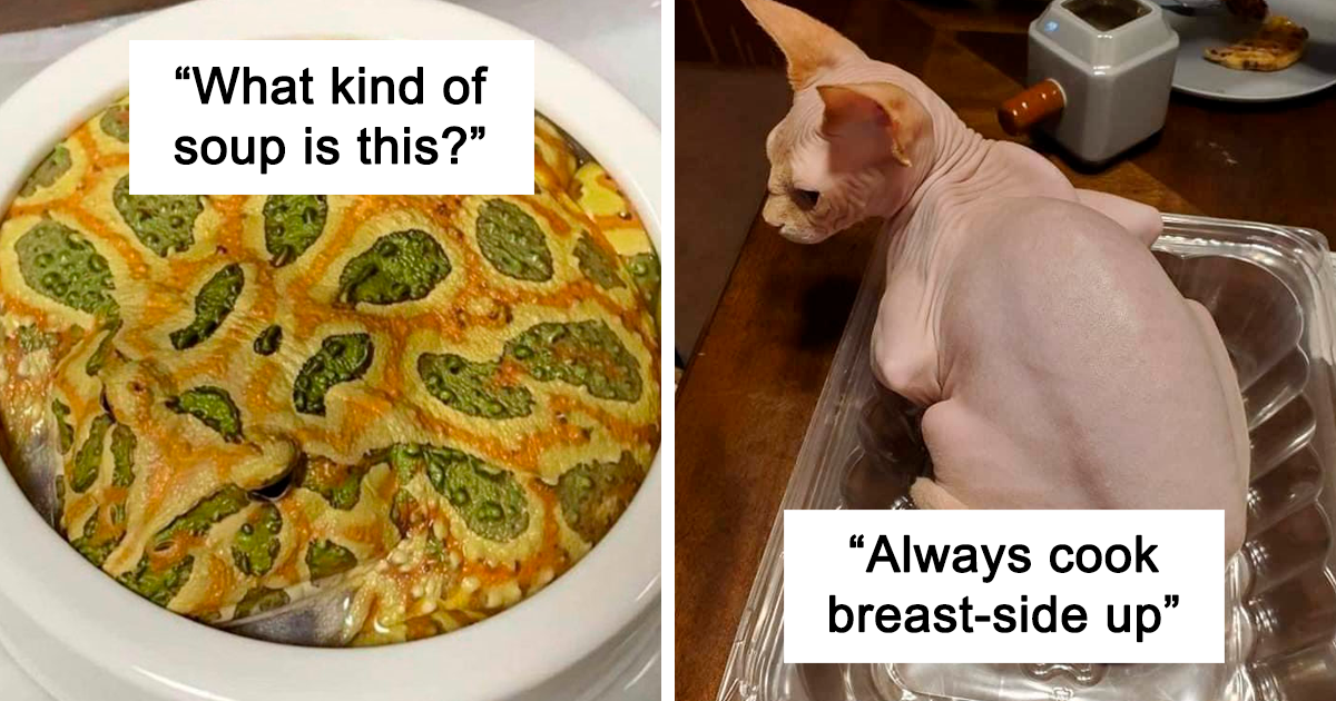 You Won't Believe These 48 Animals That Look Exactly Like Your Favorite Foods!