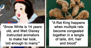 14 Unexpectedly Creepy Fun Facts That Will Uneasily Stick in Your Mind
