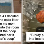 24 Hilarious Confessions From Parents About Their Kids' Most Outrageous “Innocent” Mischief