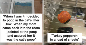 24 Hilarious Confessions From Parents About Their Kids' Most Outrageous “Innocent” Mischief