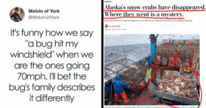 28 Dark Nature Memes That Reveal the Chilling Truths About Our Planet—and People Can't Stop Laughing