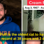 34 Mind-Blowing Facts That Will Completely Rewrite Your Sense of Time and History