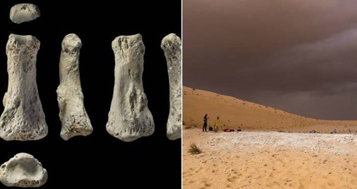 Ancient Finger Bone Unearthed: A Shocking Rewrite of Human History Emerges