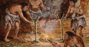 Ancient Fire Secrets Revealed: The Real Reason Prehistoric Humans Mastered Flames Will Astonish You