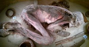 Ancient Secrets Unveiled: The 5,600-Year-Old Mummy’s Embalming Recipe Could Rewrite Egypt’s History