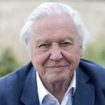 David Attenborough Recounts Heart-Stopping Underwater Ordeal That Nearly Ended in Tragedy