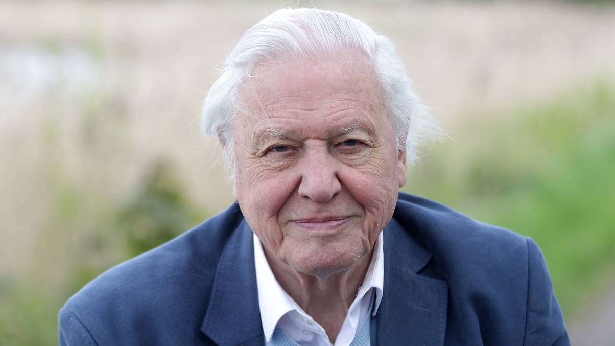 David Attenborough Recounts Heart-Stopping Underwater Ordeal That Nearly Ended in Tragedy