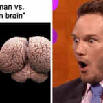Discover 43 Mind-Blowing Facts From a Twitter Page That Will Change How You See the World Forever