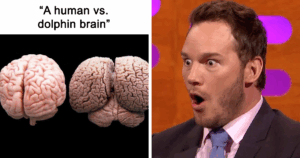 Discover 43 Mind-Blowing Facts From a Twitter Page That Will Change How You See the World Forever