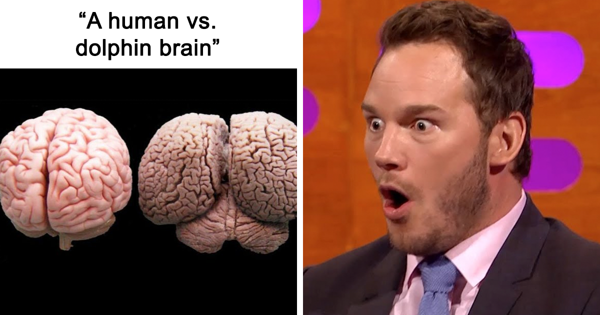 Discover 43 Mind-Blowing Facts From a Twitter Page That Will Change How You See the World Forever