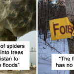 Discover 46 Mind-Blowing Nature Wonders That Will Change How You See the World Forever