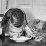Discover the Heartwarming Secret Behind These 45 Vintage Photos of Kids and Cats That Will Melt Your Soul!