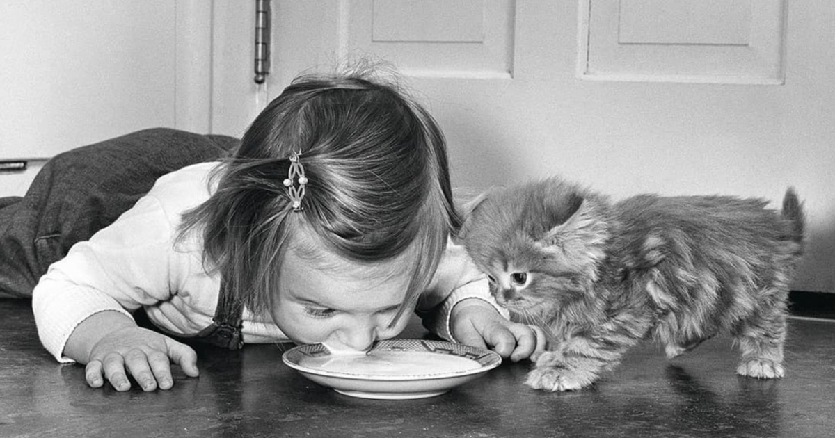 Discover the Heartwarming Secret Behind These 45 Vintage Photos of Kids and Cats That Will Melt Your Soul!
