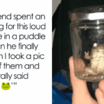 Discover the Unexpected Charm Behind Tumblr's Most Heartwarming and Hilarious Memes!
