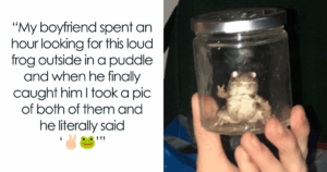 Discover the Unexpected Charm Behind Tumblr's Most Heartwarming and Hilarious Memes!