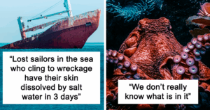 Dive Into Darkness: 24 Chilling Ocean Secrets That Will Haunt Your Dreams Forever
