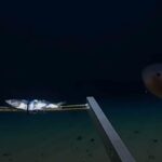 Explorer’s Shocking Revelation from Ocean’s Deepest Point Will Haunt You Forever