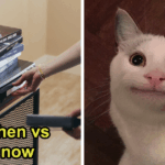 From Nostalgia to Now: 23 Shocking Changes That Will Make You Question the Past and Present