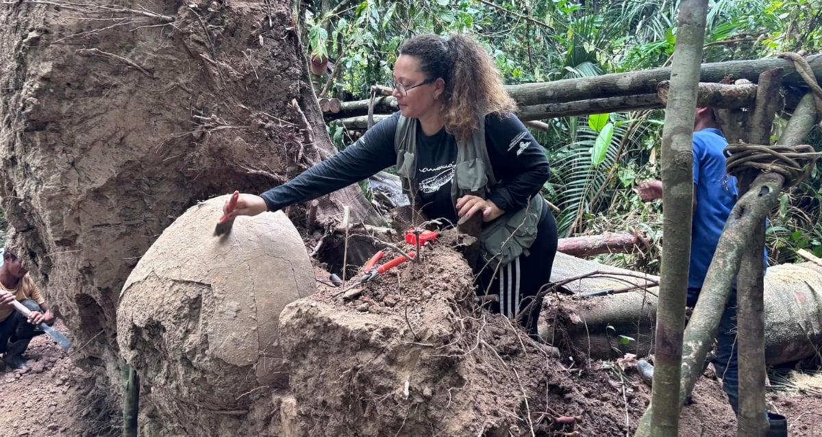 Giant Pre-Columbian Funeral Urns Discovered in Brazilian Amazon: What Secrets Do They Hold?