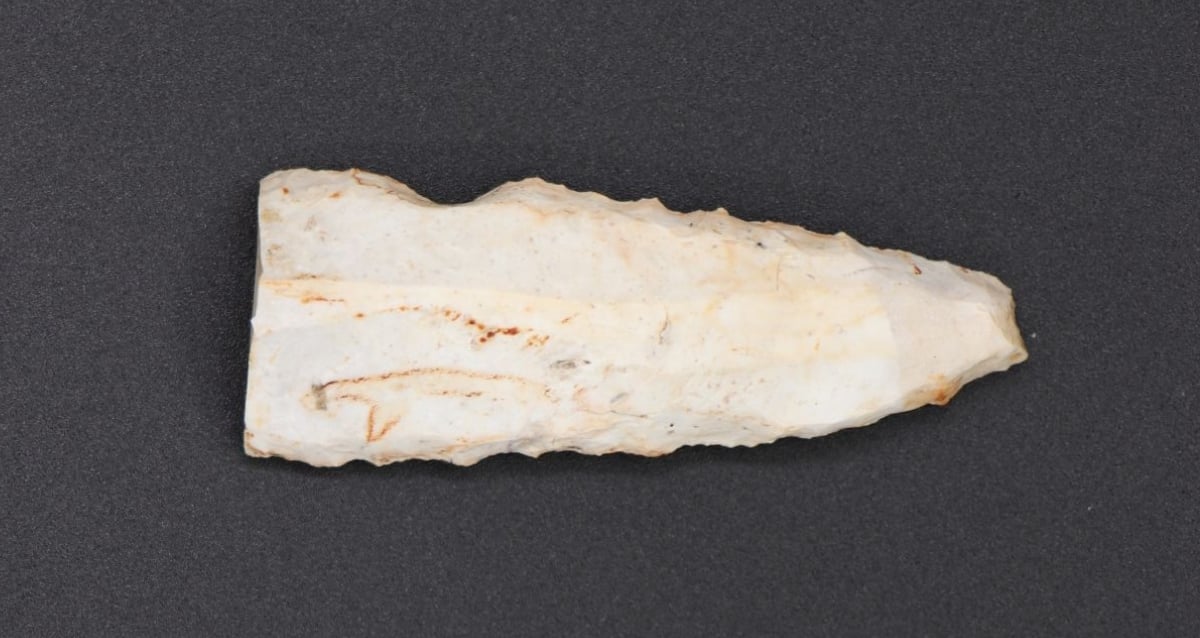 Mysterious 4,500-Year-Old Flint Blade Unearthed by Amateur Archaeologists in Northern Germany Sparks New Questions About Ancient Life