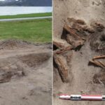 Mysterious Viking Woman and Her Loyal Dog Unearthed in Norway's Ancient Boat Grave After 1,100 Years