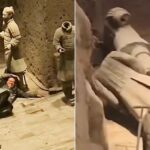 Mystery Unfolds as Tourist with Mental Illness Wreaks Havoc on Ancient Chinese Terracotta Warriors