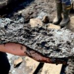 Mystery Unveiled: Enormous 2,000-Year-Old Roman Shoe Discovered at England’s Ancient Fort—What Was It Used For?