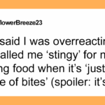 Roommate Sparks Drama by Labeling Woman “Stingy” Over Sharing Homemade Meals with Boyfriend—What Really Happened?