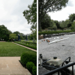 Secret Transformation: Rose Garden Bulldozed and Paved Over in Shocking White House Redesign