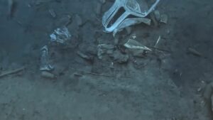 Shocking GoPro Footage from Ocean Depths Reveals Hidden Danger Diver Never Expected