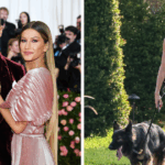 Shocking Moment Gisele Bundchen Puts Baby at Risk During Unexpected Dog Walk – What Really Happened?