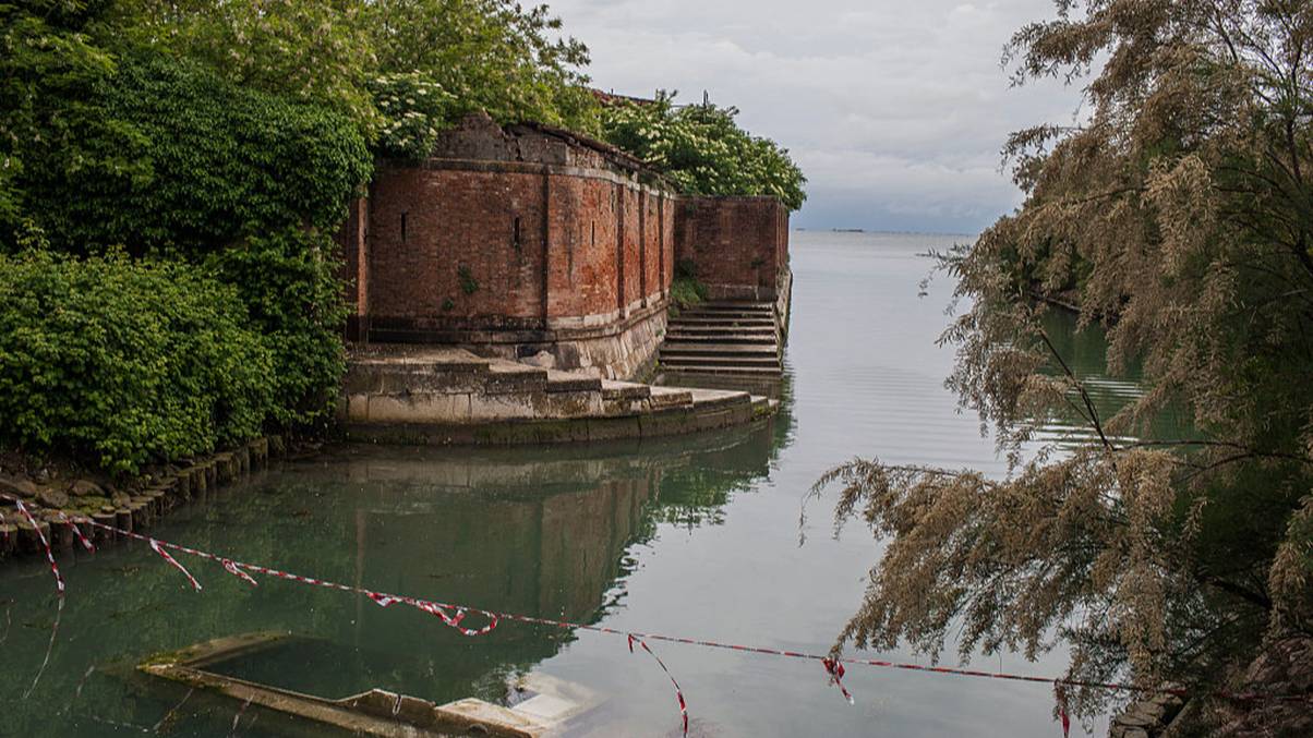 The Haunted Island Where 160,000 Corpses Lie Silent—and Why No One Is Allowed to Set Foot There