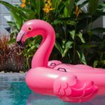 The Secret Flamingo Code: What That Pink Bird on Your Cruise Really Reveals About Passengers' Wild Side
