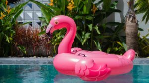 The Secret Flamingo Code: What That Pink Bird on Your Cruise Really Reveals About Passengers' Wild Side