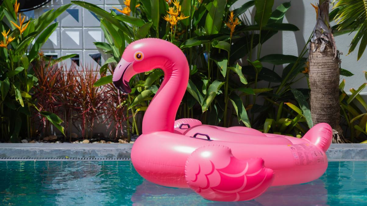 The Secret Flamingo Code: What That Pink Bird on Your Cruise Really Reveals About Passengers' Wild Side