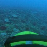 Uncharted Abyss Revealed: Robots Uncover Mysteries Hidden in the Ocean's Darkest Depths