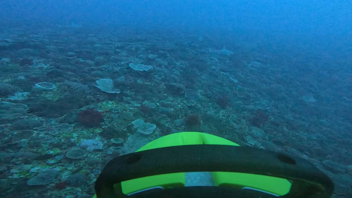 Uncharted Abyss Revealed: Robots Uncover Mysteries Hidden in the Ocean's Darkest Depths