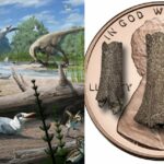 Uncovering a Prehistoric Arctic Secret: Did Birds and Dinosaurs Really Share a Nest 73 Million Years Ago?