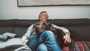 Unlocking the Secret: How Napping Might Rewind Your Brain’s Aging Clock