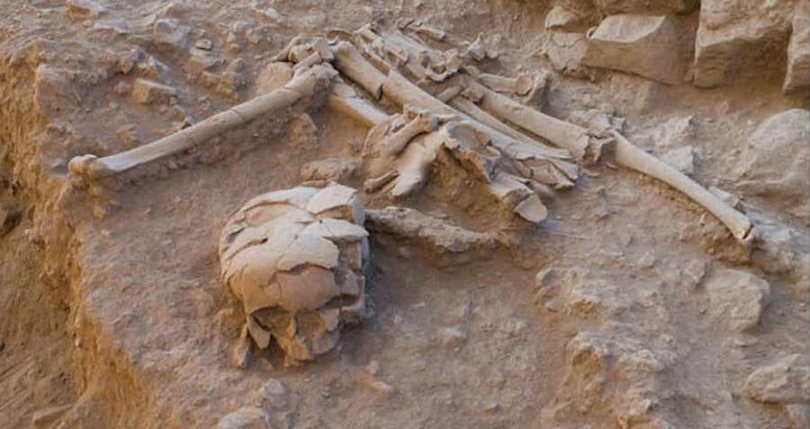 Unveiling the Secrets Behind a Prehistoric Cult’s Death Ritual That Transformed Neolithic Art Forever